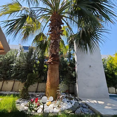 Roza Private Pool Entrance וילה קוסדסי
